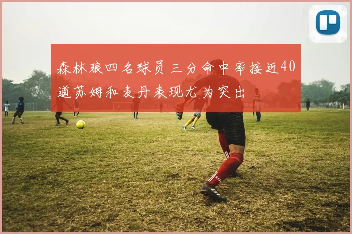 森林狼四名球员三分命中率接近40道苏姆和麦丹表现尤为突出