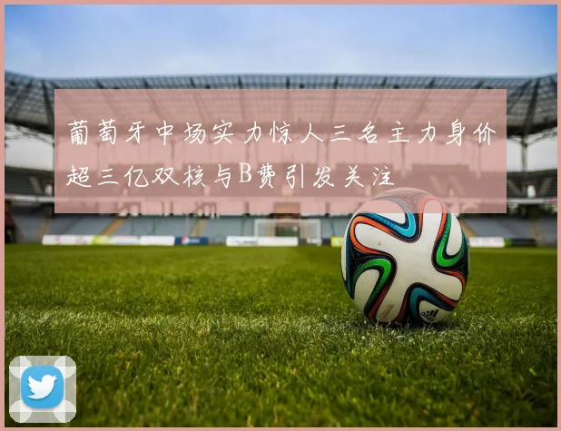 葡萄牙中场实力惊人三名主力身价超三亿双核与B费引发关注