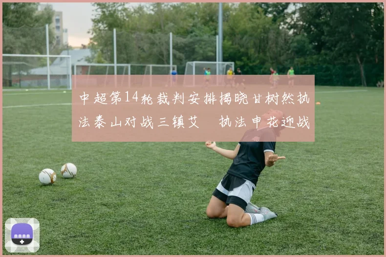 中超第14轮裁判安排揭晓甘树然执法泰山对战三镇艾堃执法申花迎战新鹏城